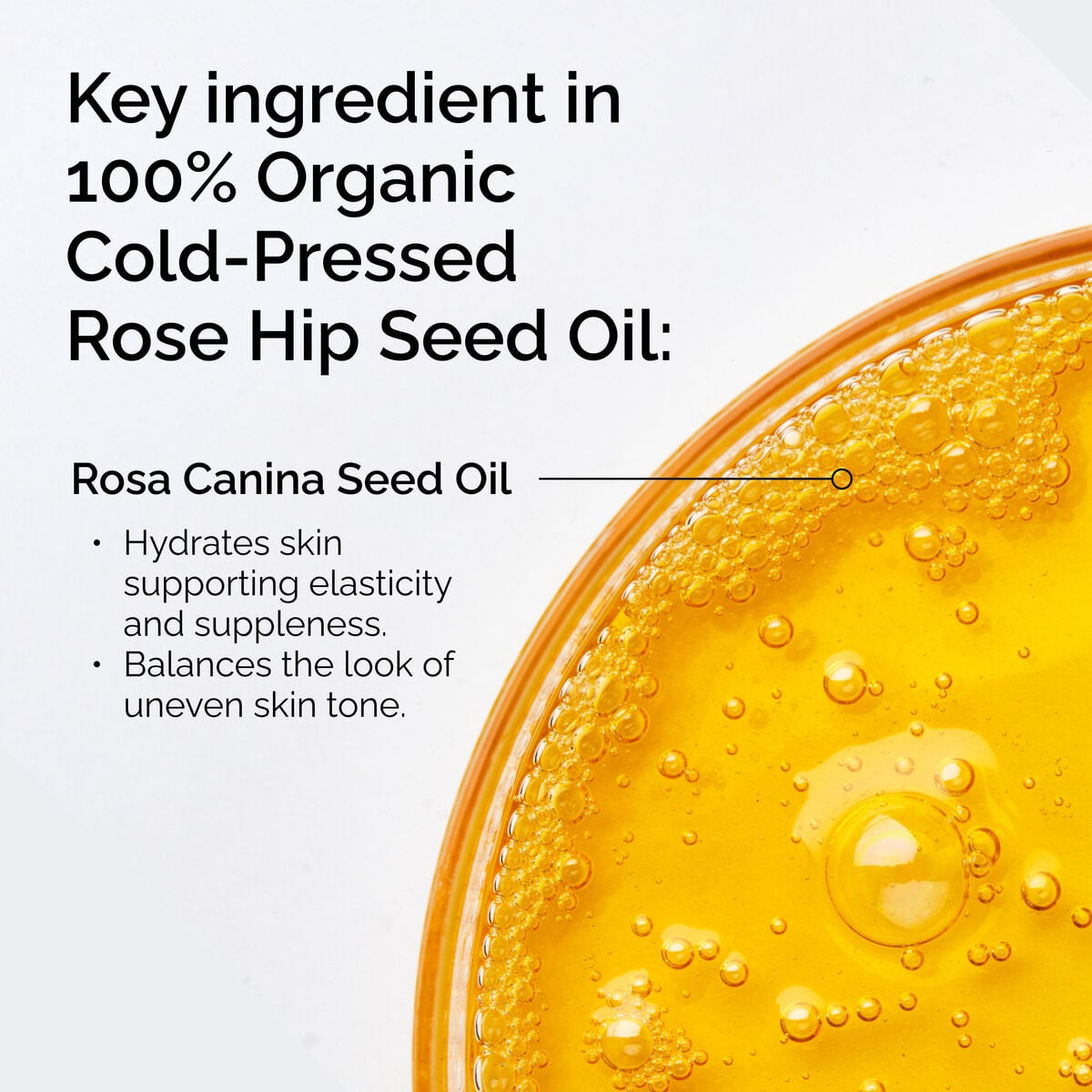 100-organic-cold-pressed-rose-hip-seed-oil-p6 FY25-D41247-ORD-Web-PDP-100-Rose-Hip-Oil-1x1-EN-2.jpg