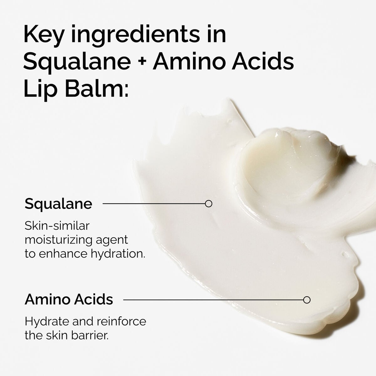 squalane-amino-acids-lip-balm-b1 FY25-D41247-ORD-Web-PDP-Sql-Amino-Lip-1x1-EN-2a.jpg