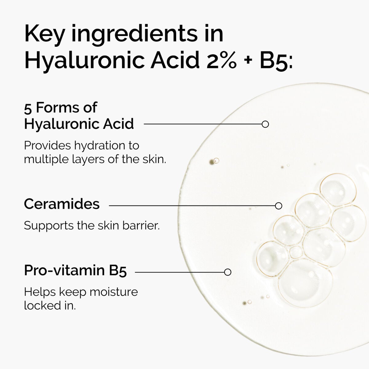 hyaluronic-acid-2-b5-with-ceramides-l4 ord-hyaluronic-acid-2pct-b5-hydrating-serum-ingredients-graphic.jpg