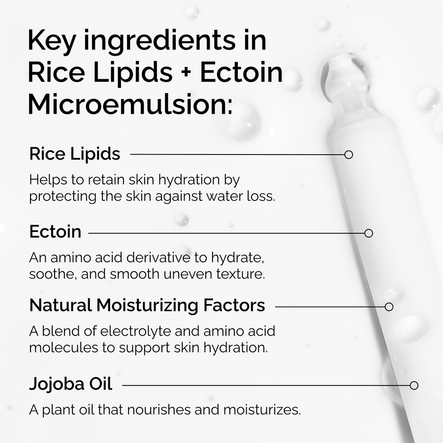 rice-lipids-ectoin-microemulsion-u1 ord-rice-lipids-ectoin-microemulsion-key-ingredients.png