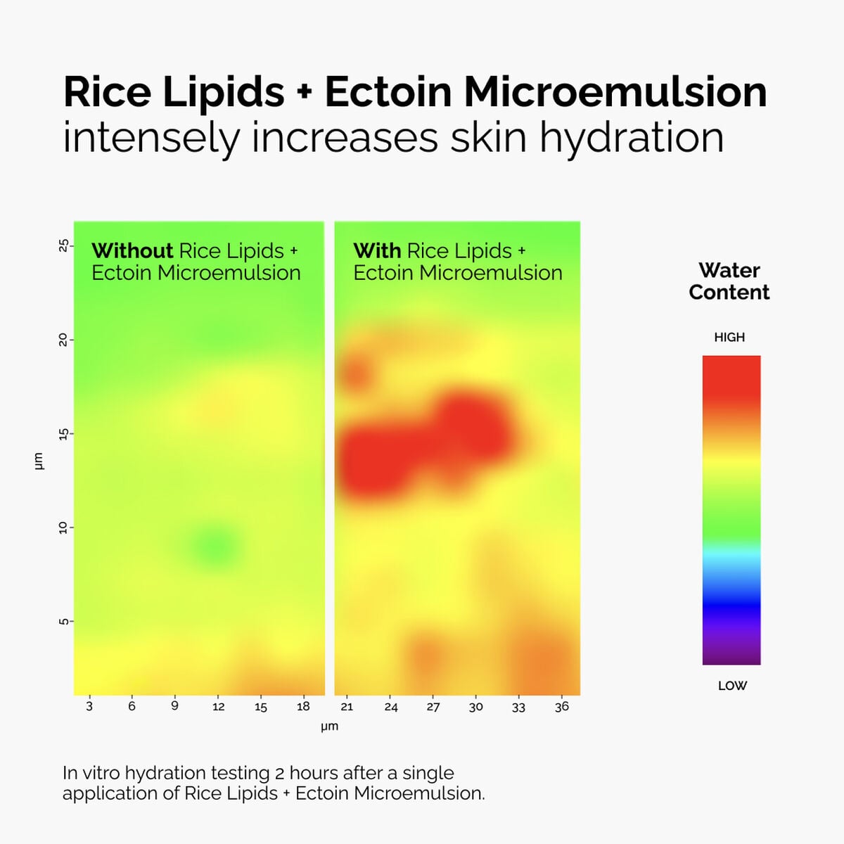 rice-lipids-ectoin-microemulsion-u1 ord-rice-lipids-ectoin-microemulsion-thermal-before-after.jpg